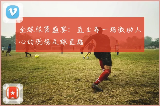 全球绿茵盛宴:直击每一场激动人心的现场足球直播