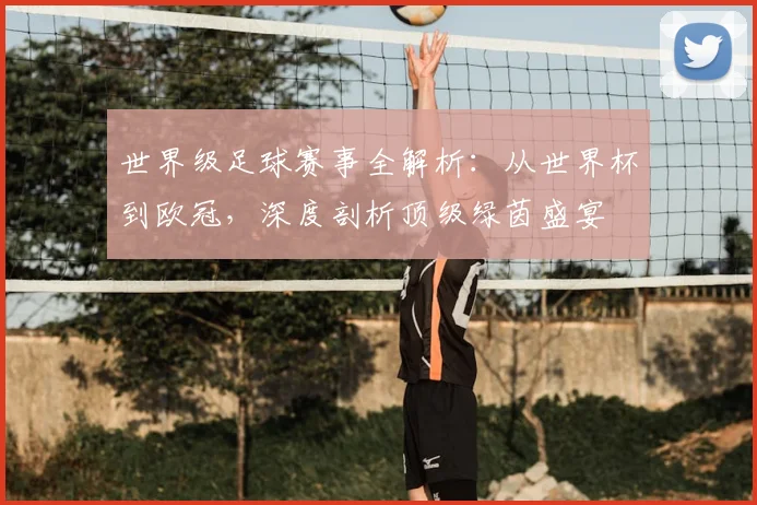 世界级足球赛事全解析:从世界杯到欧冠,深度剖析顶级绿茵盛宴